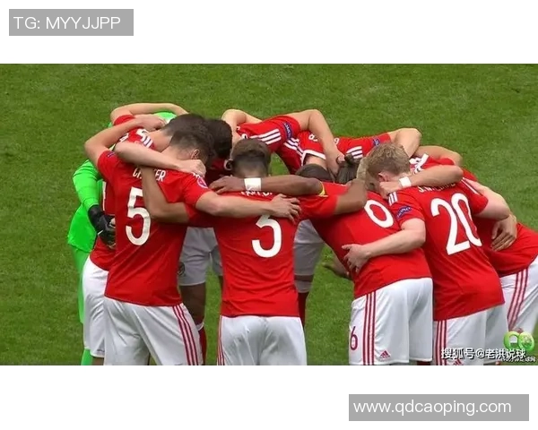 法国与威尔士精彩对决录像回放分析与精彩瞬间集锦