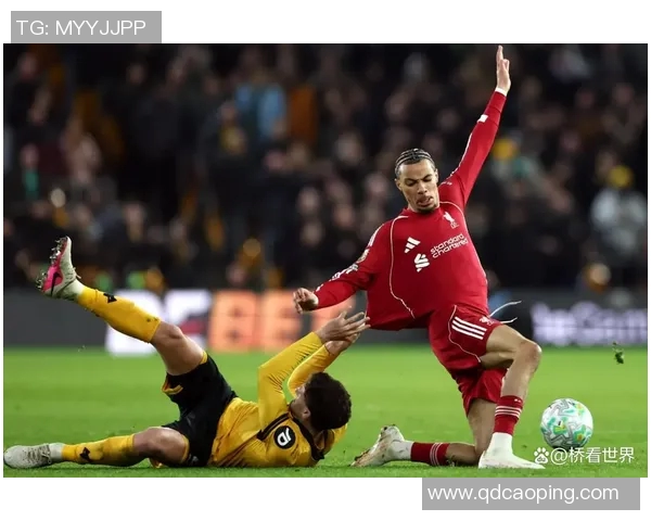 狼队与加的夫城激战正酣比分揭晓引发球迷热议